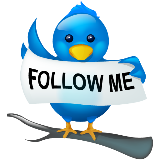 Social Twitter Bird Tweet Me Social Media Logo Follow Icon