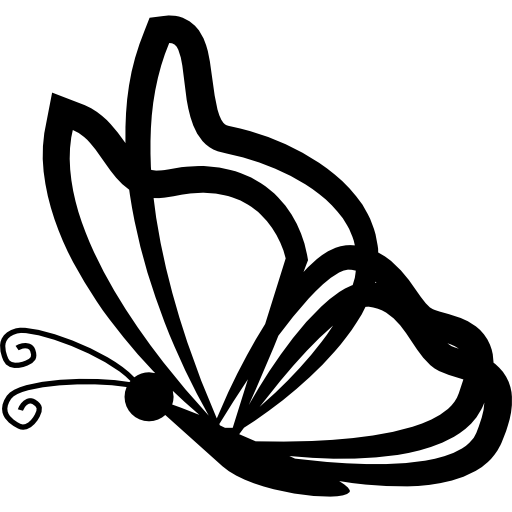 borboleta png